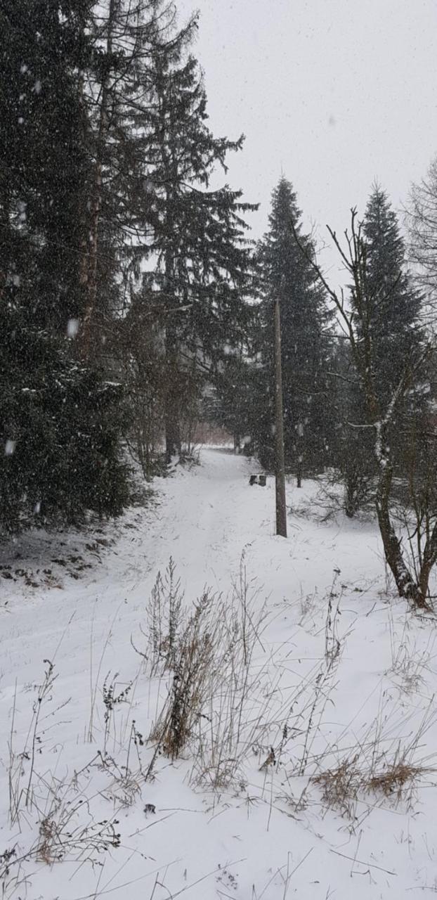 Chata Na Kovarne Rýmařov Eksteriør billede